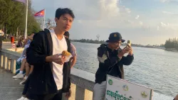 ប្រូវីត ប្រូធុច